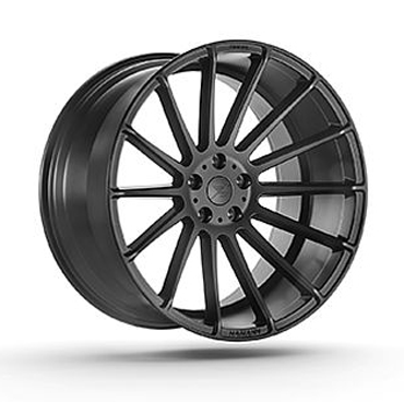 ANNIVERSARY EVO II BLACK LINE
