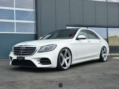 BIG BODY BENZO